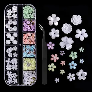 12 Grids 3D White Acrylic Flower Nail Parts With tweezers Mixed Steel Beads Bear Charms Design Nail Art Decoration DIY Jewelry