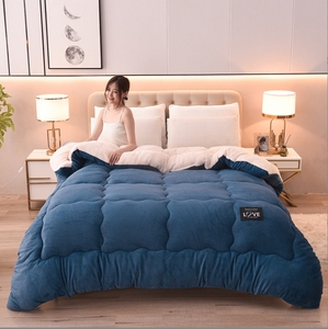 Bán Chạy Nhất Tùy Chỉnh 2 Lớp Bán Buôn Ấm/Thoải Mái Dày Sợi Nhỏ Sherpa Nhung Nhà Comforter/Duvet/Chăn/Chăn - Product Image 2