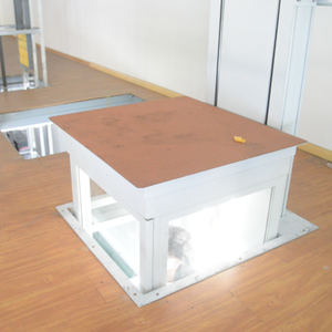 Nuevo elevador de casa residencial hidráulico de 2 pisos, elevador doméstico eléctrico <span class=keywords><strong>para</strong></span> interior y exterior, capacidad de carga de 300kg, 3 pisos - Product Image 2