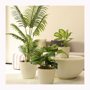 Leizisure Prix d'usine Pays <span class=keywords><strong>Pot</strong></span> de fleur <span class=keywords><strong>en</strong></span> plastique Simple Rond Grand Calibre Jardinière d'arbre auto-arrosante pour <span class=keywords><strong>plante</strong></span> d'extérieur - Product Image 1