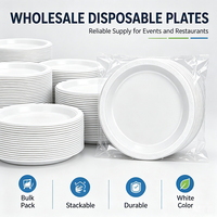 Assiettes jetables en plastique blanc sans BPA, surface lisse, pour restaurant, buffet, service de repas quotidien