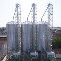 Silos di Stoccaggio Verticale in Acciaio per Mais con Capacità di 500 Tonnellate