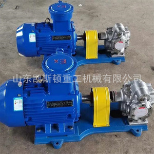 Pompe à engrenages Keston en acier inoxydable 304, 100 LPM, 58 M de hauteur de refoulement, pompe de transfert de fluides industrielle rotative électrique - Product Image 3