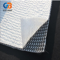 Filet de drainage composite géotextile 3D en plastique HDPE pour l'utilisation dans les tunnels de drainage et les barrages