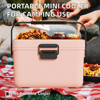 Petit réfrigérateur portable moderne et écologique pour le camping en voiture, les pique-niques, la conservation du lait maternel et des aliments frais, 3,8 L