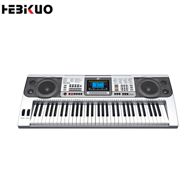 OEM MK-810 Professional Electric Organ Piano Wholesale Electronic Keyboard for Musical Instrument