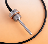CWDZ03 Star Meter PT100 Temp Transmitter, Probe Baja Tahan Karat Industri, Tahan Air IP68 Akurasi Tinggi Layanan Kustom OEM ODM