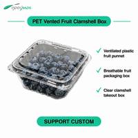 Groothandel wegwerpbaar recycleerbaar PET plastic geventileerde blauwe bessen clamshell doos fruit transparante verpakking container