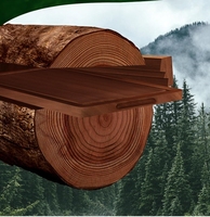 Planche à découper de qualité supérieure Planches à découper en bois vierges de cuisine Design tendance à la mode