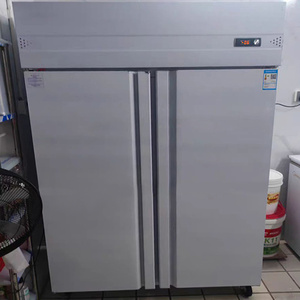 Congélateur commercial Flishel pour cuisine, réfrigérateur à pâtisserie à 2 portes, capacité de 1000 L, réfrigérateur vertical pour <span class=keywords><strong>kimchi</strong></span>, congélateur supérieur - Product Image 2