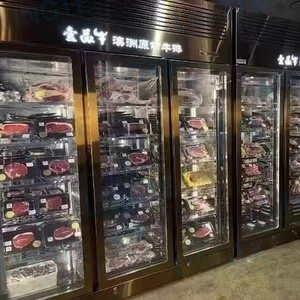 ตู้แช่แข็งสำหรับบ่มเนื้อสเต็กและปลาคุณภาพสูงแบบในตัว - Product Image 2