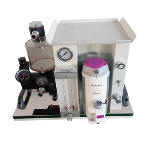 BPM-A601 Portable Veterinary Monitoring Devices Set para OBGYN com Concentrador de Oxigênio e Anestesia Machine - Product Image 3