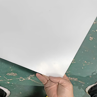 Feuille diffuseur en PP écologique blanc givré pour abat-jour LED - Anti-éblouissement, résistant à la chaleur, lumière douce avec service de découpe