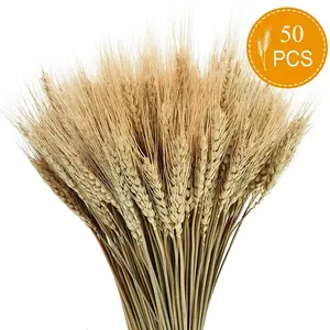 Wedding Centerpieces Decorative Natural Dry Wheat Bunches Grass Stalks Decor Sheaves Dried Wheat Flowers
