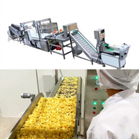 Automatische aardappelchipsfabriekapparatuur voor zure room-uienchips met continu frituursysteem en smaakcoating.