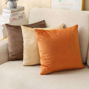 Best-seller châtaigne doux carré velours taie d'oreiller luxe <span class=keywords><strong>housse</strong></span> <span class=keywords><strong>de</strong></span> coussin pour canapé-lit voiture velours jeter taie d'oreiller - Product Image 4
