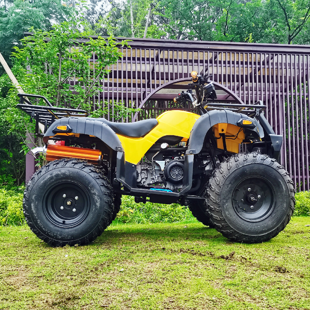 China Supplier Sale ATV Farm Vehicle 200cc Electric ATV Farm Vehicle Quad Bike