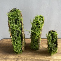 Fausse écorce d'arbre en plastique, mousse décorative pour aménagement intérieur/extérieur, racines d'arbres, plantes vertes, présentoirs muraux/suspendus au sol