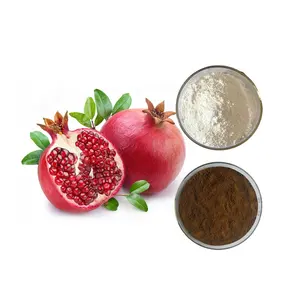 High quality pomegranate peel extract powder