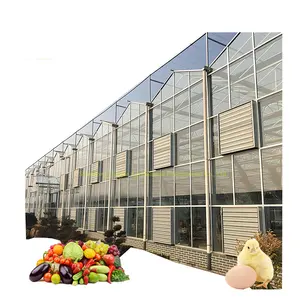 Serre commerciale en verre pour l'agriculture avec verre/aquaponique/ventilateur de refroidissement/chauffage/chaudière/filet pour plantes et fruits