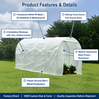 Serre tunnel autoportante en acier galvanisé avec filet PE 13x10x6.5ft pour culture hydroponique de légumes, résistante aux intempéries, personnalisable OEM