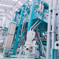 Usine clé en main de mouture de maïs de 150 tonnes/jour avec contrôle PLC