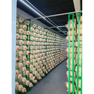 Welding Free Mushroom Growing Shelf Food Grade Polyethylene <b>Cultivation</b> Rack Industrial Farming System - Product Image 1