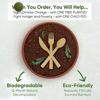 Ensemble de couverts jetables en bambou compostables, couteau, fourchette et cuillère, écologiques et adaptés aux aliments, pour barbecue, banquet, pâtisserie