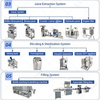 Usine de production et de transformation de jus de fruits à petite échelle (mangue, ananas, banane, calamansi) Full Line Passion – Coût Chine