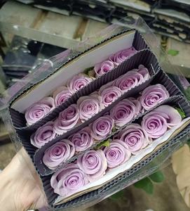 Vente en gros d'usine Ocean Song Purple Rose Valentine's Day Flower Office Décorer des fleurs fraîchement coupées avec des fleurs - Product Image 5