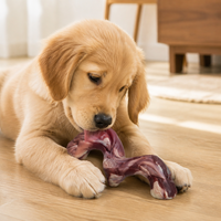 Jouet à mâcher pour chien en nylon PA de 7 pouces en forme de S, résistant aux morsures, bâton molaire durable pour la dentition, jouet interactif moderne pour animaux de compagnie