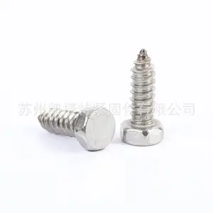 Stainless Steel 316 Hex Flat Head Screw Hidden Camera Truss Aluminum Titanium Bolts