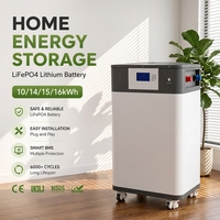 Batterie LiFePO4 rechargeable 51,2 V 200 Ah 300 Ah 314 Ah 10 kWh 15 kWh 16 kWh pour stockage solaire domestique sur pied