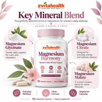 Kapsul Vegetarian Campuran Magnesium 20-in-1 800mg dengan Methylated B Complex untuk Dukungan Kesehatan (Private Label)