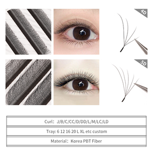 Slant Flying <span class=keywords><strong>Y</strong></span> <span class=keywords><strong>YY</strong></span> 3D 4D 5D Pestañas 0,07 Ojos izquierdo <span class=keywords><strong>y</strong></span> derecho Fox <span class=keywords><strong>Y</strong></span> <span class=keywords><strong>YY</strong></span> 3D 4D 5D Extensión de pestañas Fox Lash Tray Extensiones de pestañas naturales - Product Image 2