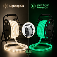 Bande lumineuse LED phosphorescente pour éclairage d'urgence, visibilité et sécurité, 230V, en PVC fluorescent haute tension