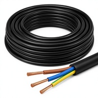 Hochwertiges H05VV-F 3-adriges 2,5mm Flexibles Rundkabel 300/500V für Industrielle Anwendungen