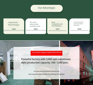 <span class=keywords><strong>Macetas</strong></span> <span class=keywords><strong>de</strong></span> Cemento y Magnesio para Plantas Verdes, Estilo Europeo, para Patio, Villa, Plaza, Estilo Moderno, Sencillas - Product Image 6