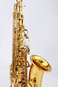 แซ็กโซโฟนอัลโตแซกโซโฟนสากลวงเดียว - Product Image 5