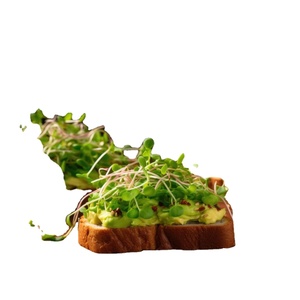 Assortiment de 10 variétés de micro-pousses biologiques : mélange de brocoli, de daikon, de radis, de chou rouge épicé, <span class=keywords><strong>d</strong></span>'arugula pour la culture en pots et jardinières - Product Image 1