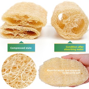 Spugna e Spazzola Verde in Luffa Invecchiata per Pulizia Cucina e Bagno, Ideale per Pentole e Ciotole - Product Image 2