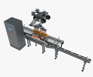 Robotic Load Pouches Into Cartons <b>Top</b> Load Case Packer Robotic Case <b>Loading</b> System - Product Image 3