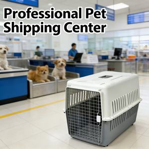 Cage <span class=keywords><strong>de</strong></span> <span class=keywords><strong>transport</strong></span> pour animaux <span class=keywords><strong>de</strong></span> compagnie classique en plastique PP écologique grande capacité pour chats et oiseaux, portable, pour loisirs et extérieur, type valise <span class=keywords><strong>de</strong></span> <span class=keywords><strong>transport</strong></span> - Product Image 2