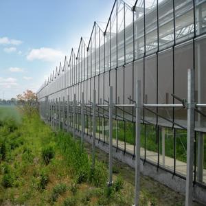 Tùy chỉnh thủy tinh nông nghiệp cà chua nhà kính cho nông nghiệp - Product Image 3