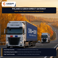Firebird.Europe.fba.truck.ddp.shipping.handle.customs.declaration.and.final.warehouse.delivery