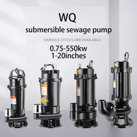 Pompe submersible pour irrigation et drainage agricole avec pompage à tête haute Pompe submersible pour eaux usées WQ