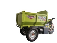 Tricycle électrique/tricycle trois roues mini camion à benne basculante pour la cargaison/cargaison de 3 roues pour toutes les routes ou utilisation de maison de ferme d'usine