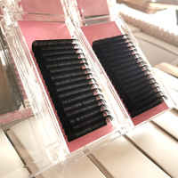 Plateaux d'extension de cils en velours de volume de soie de marque privée avec logo personnalisé fournitures d'extensions de cils Pbt coréen