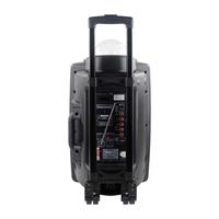 Kamu kalıp iki yönlü 100W 12V 4.5ah kaliteli 15 inç arabası hoparlör ile parti ışığı