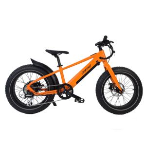 QUEENE/Vélo électrique pour enfants 20 pouces 10AH Moteur Batterie amovible Vélo tout-terrain électrique pour enfants de 7 à 12 ans - Product Image 3